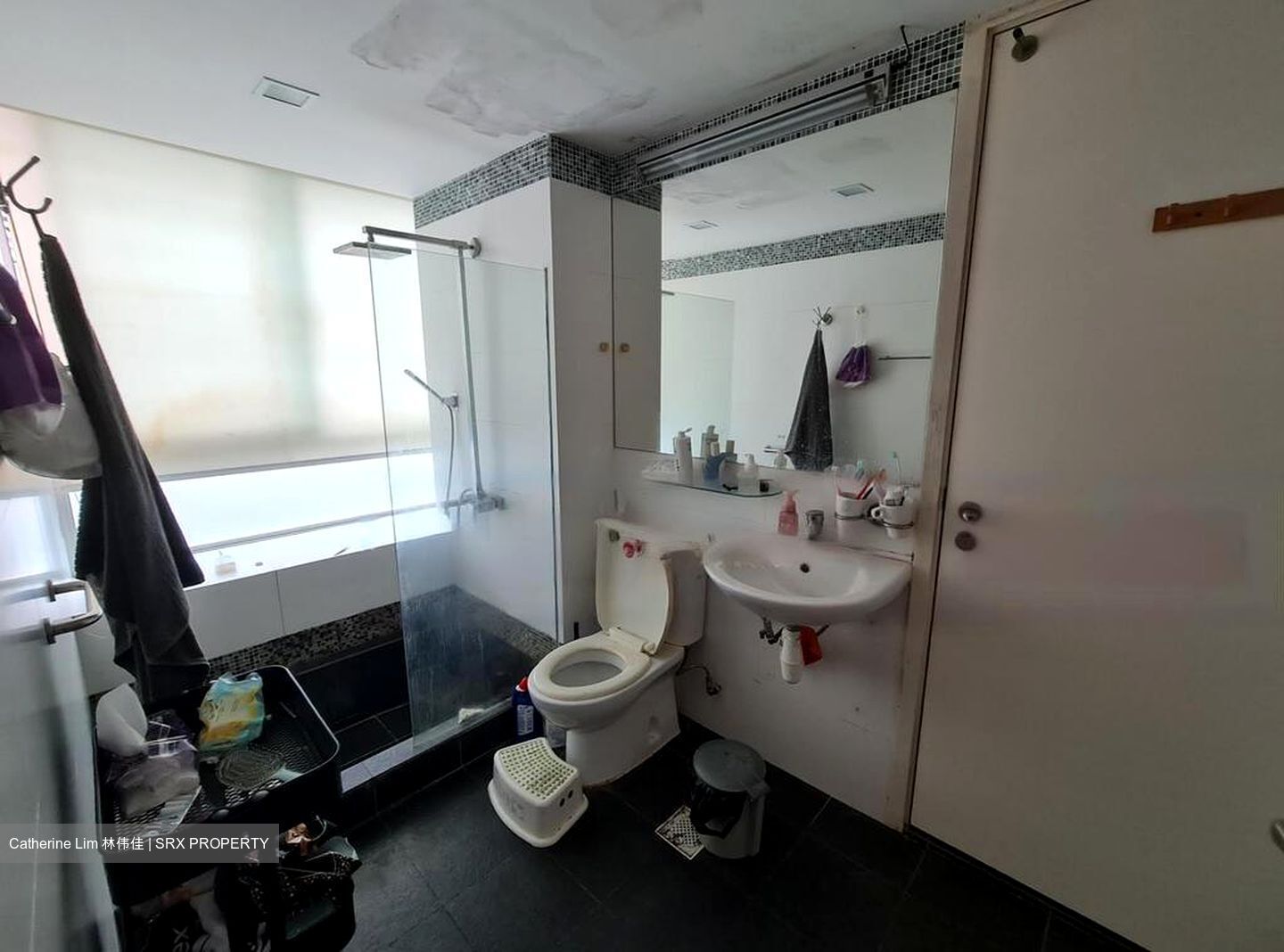 Parc Sophia (D9), Apartment #480357791